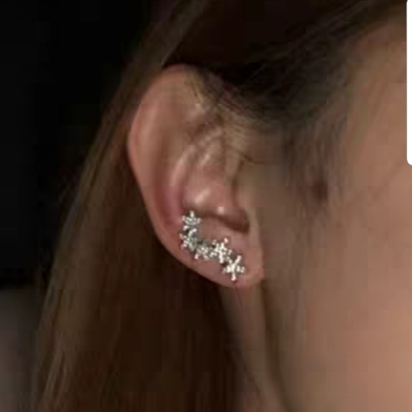 " Stars" Earrings - Picture 5 of 5